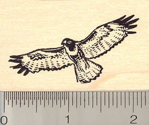 Red Tailed Hawk Rubber Stamp