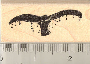 Whale Tail Rubber Stamp