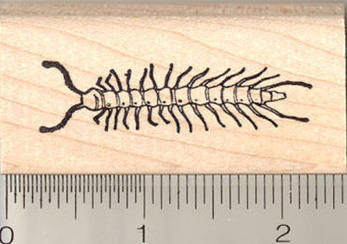 Centipede Rubber Stamp