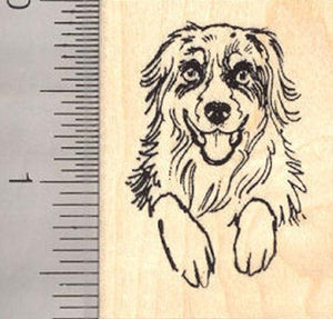 Australian Shepherd Dog Rubber Stamp