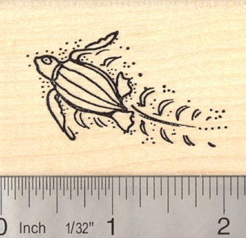 Leatherback Sea Turtle Hatchling on beach Rubber Stamp