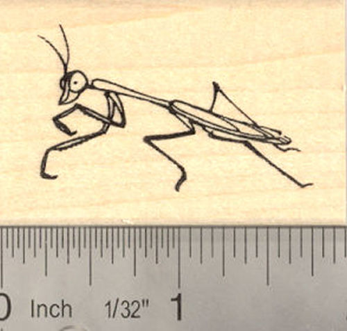 Praying Mantis Rubber Stamp Insect, Bug, Garden