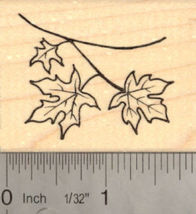 Fall Leaves Rubber Stamp