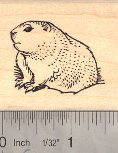 Groundhog Day Rubber Stamp