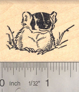 American Badger Rubber Stamp