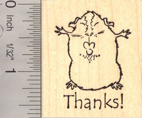 Thank you Guinea Pig Kiss Rubber Stamp