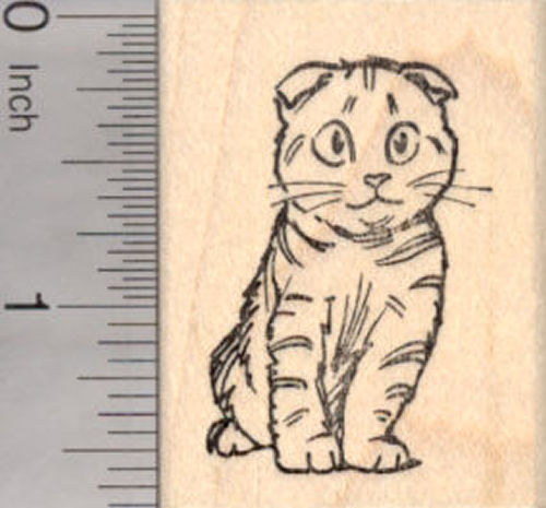 Scottish Fold Kitty Tabby Rubber Stamp, Cat with Stripes