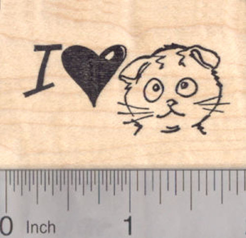 I Love my Scottish Fold Kitty Cat Rubber Stamp