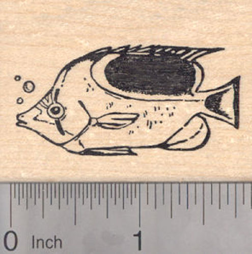 Reef Fish Rubber Stamp