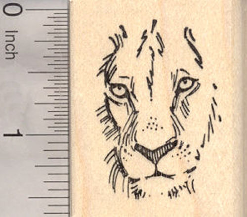 Lion Face Rubber Stamp, Wildlife, Big cat