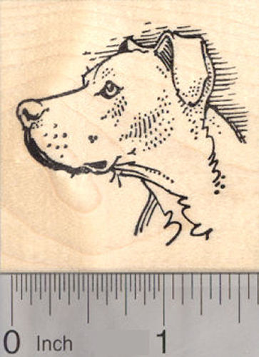 Pitbull Dog Rubber Stamp, Profile