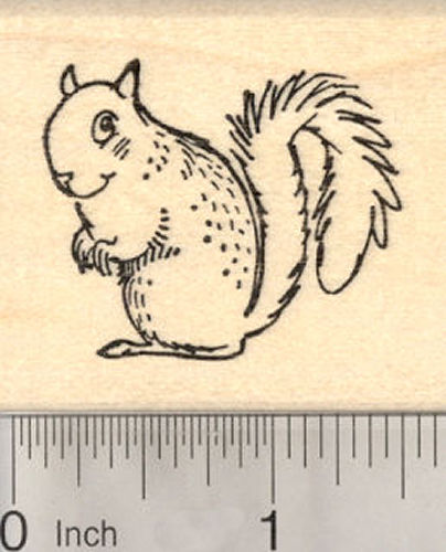 Cute Squirrel Rubber Stamp