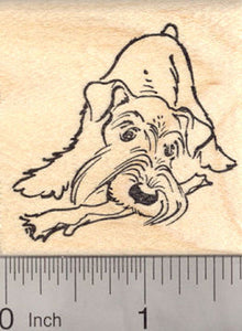 Schnauzer Dog with Natural Ears Rubber Stamp, with Chew Toy