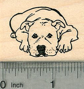 American Pitbull Terrier Dog Rubber Stamp, Staffordshire