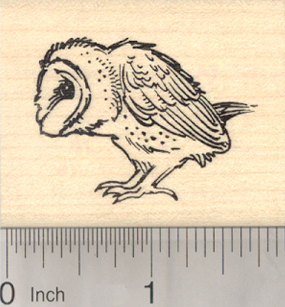 Barn Owl Rubber Stamp, Bird Profile View
