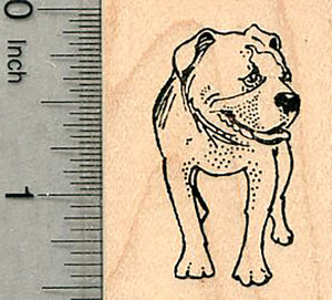 American Bulldog Rubber Stamp, Dog Standing