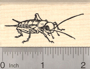 Cricket Rubber Stamp