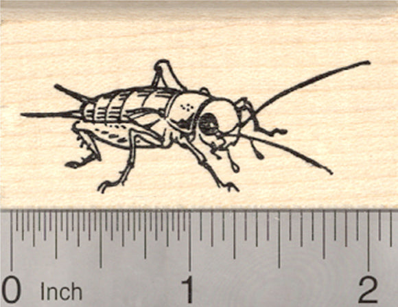 Cricket Rubber Stamp