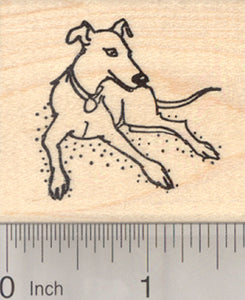 Greyhound Dog Rubber Stamp