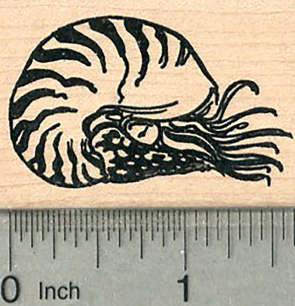 Nautilus Rubber Stamp, Mollusc Marine Wildlife