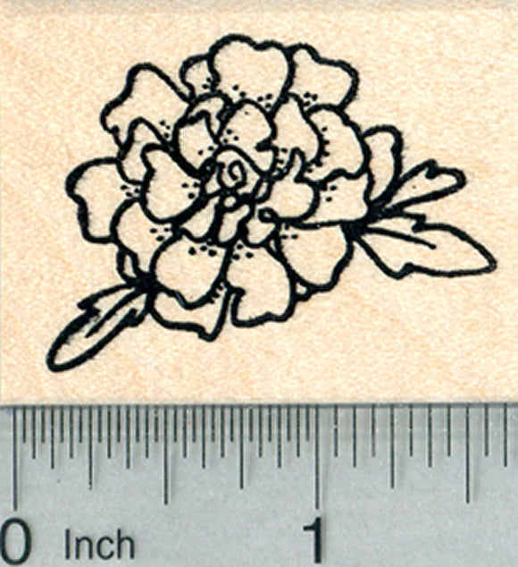 Marigold Flower Rubber Stamp, Summer Floral Series