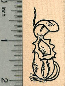 Pitcher Plant Rubber Stamp, Carnivorous Flower Series
