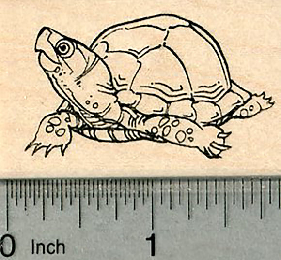 Turtle Rubber Stamp, Tortoise