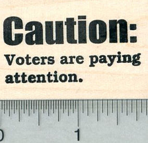 Political Rubber Stamp, Caution: Voters are Paying Attention