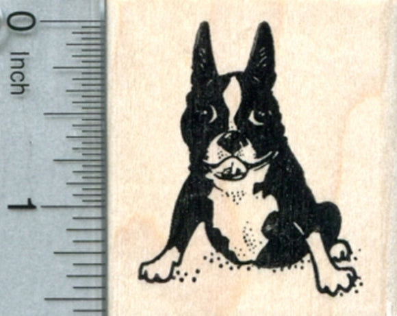 Boston Terrier Rubber Stamp, Dog