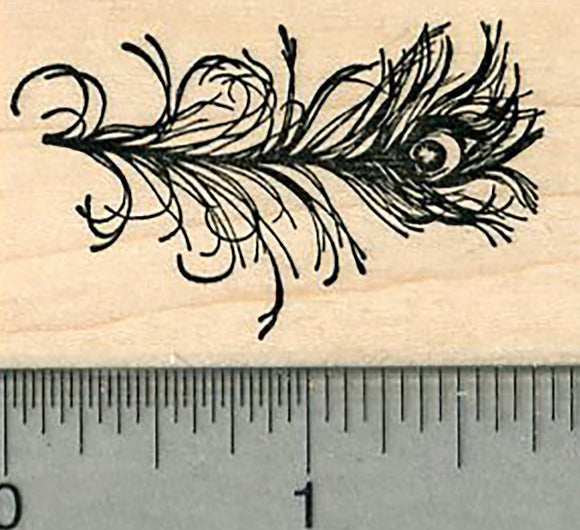 Peacock Feather Rubber Stamp