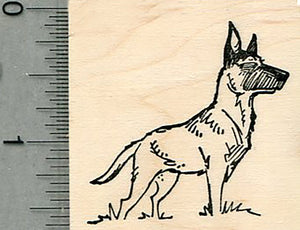 Belgian Malinois Rubber Stamp, Dog Standing