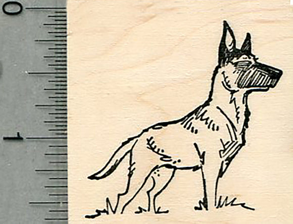 Belgian Malinois Rubber Stamp, Dog Standing