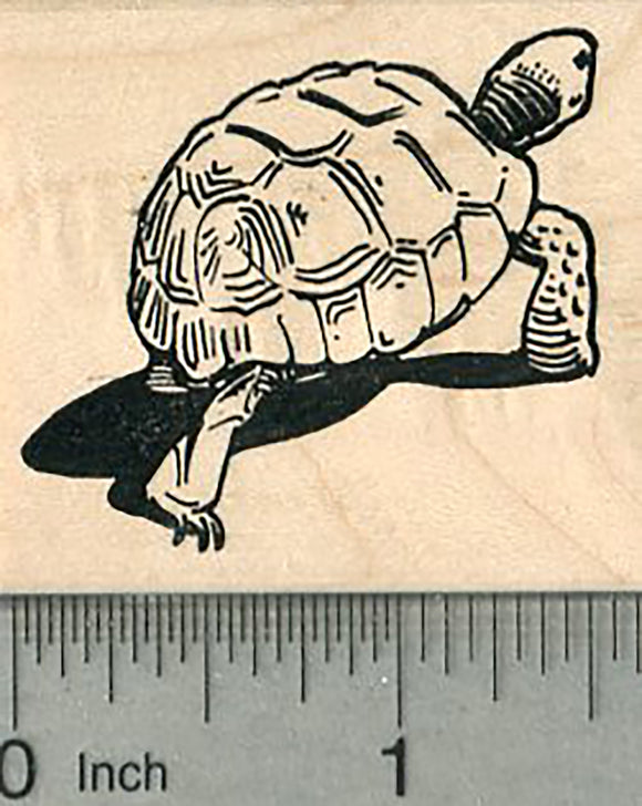 Tortoise Rubber Stamp, Turtle