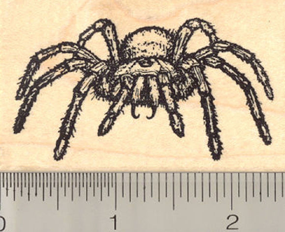 Tarantula Spider Rubber Stamp