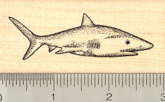 Shark Rubber Stamp, Cartilaginous Fish