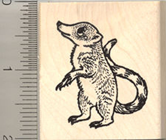 Coatimundi Rubber Stamp