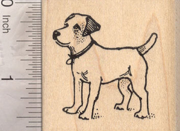 Jack Russell Terrier Rubber Stamp