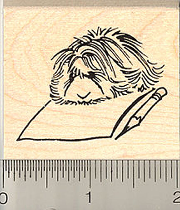 Guinea Pig Writing Letter Rubber Stamp, Long Haired Peruvian