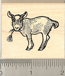 Pygmy Goat Kid Rubber Stamp