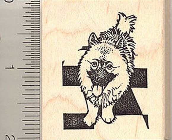 Keeshond Dog Rubber Stamp