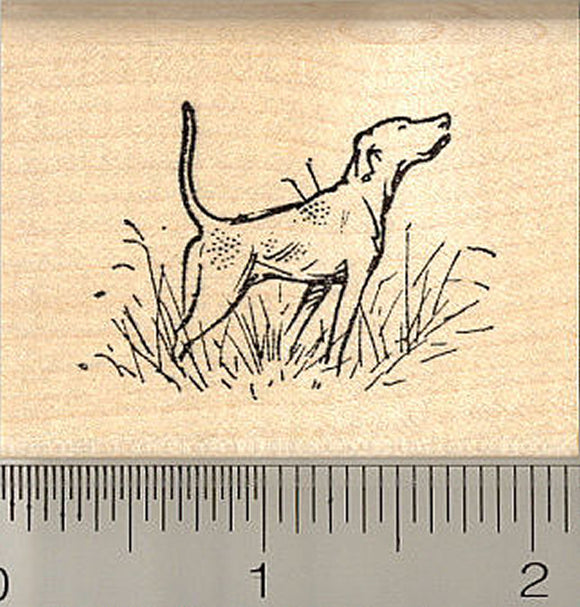 English Pointer Dog Rubber Stamp