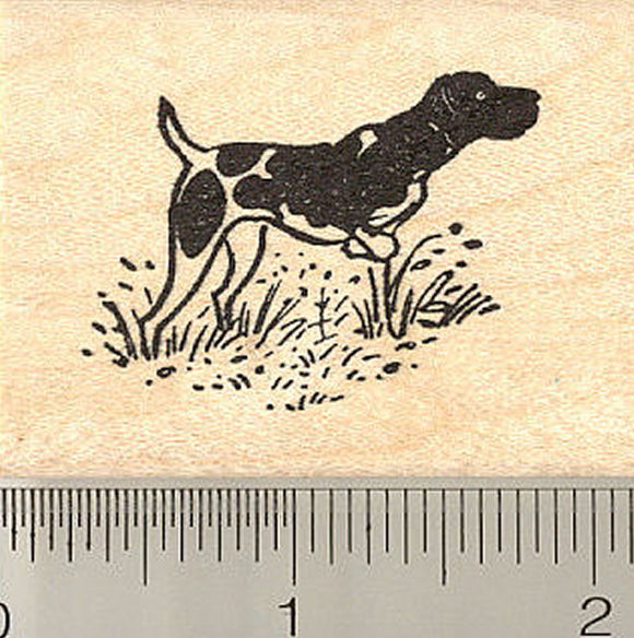 Spotted English Pointer Dog Rubber Stamp