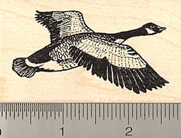 Canadian Goose Rubber Stamp, Canada, North America Bird