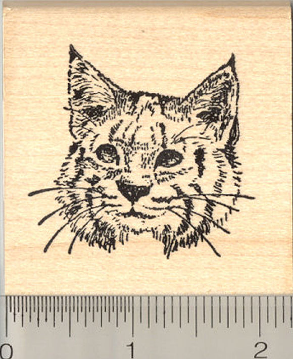 Bobcat Rubber Stamp, North American Lynx Cat