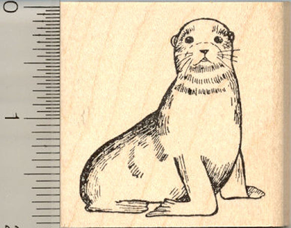 Sea Lion Rubber Stamp, Marine Mammals