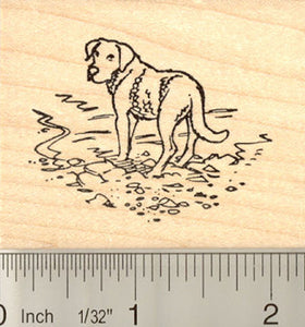 Chesapeake Bay Retriever Dog Rubber Stamp