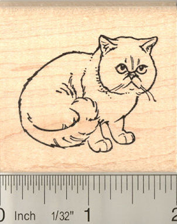 Shorthaired Persian Cat Rubber Stamp (Aka Exotic Shorthair)