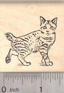 American Bobtail Cat Rubber Stamp