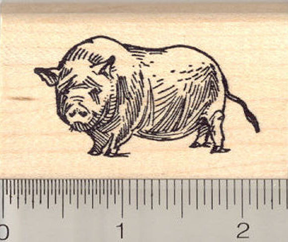 Pot Bellied Pig Rubber Stamp