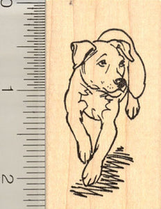 Pitbull Terrier Dog Rubber Stamp